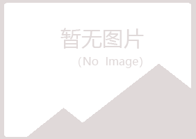 兴山县掠过音乐有限公司